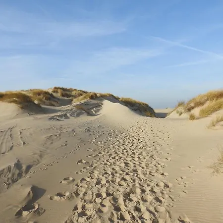 In Prázdninový dům De Cocksdorp (Texel)