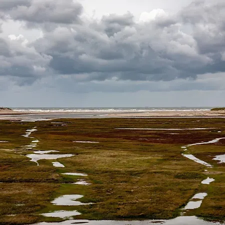 Semesterbostad In De Cocksdorp (Texel)